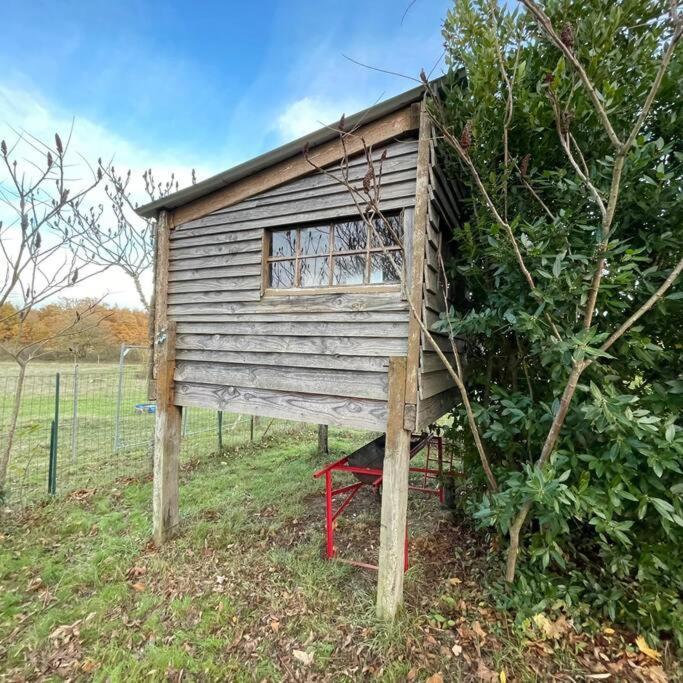 La Fermette Aux Lamas Savigny-Lévescault Exteriér fotografie